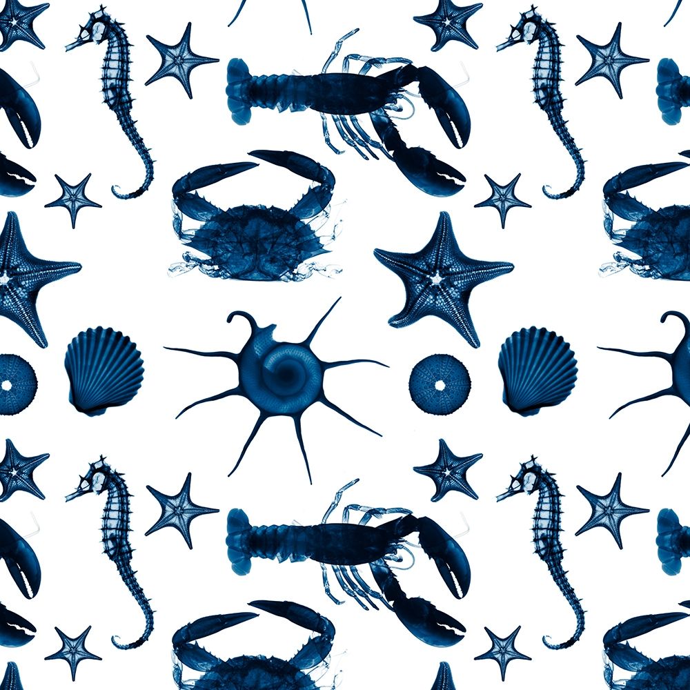 Aquatic Pattern 1 art print by Albert Koetsier for $57.95 CAD