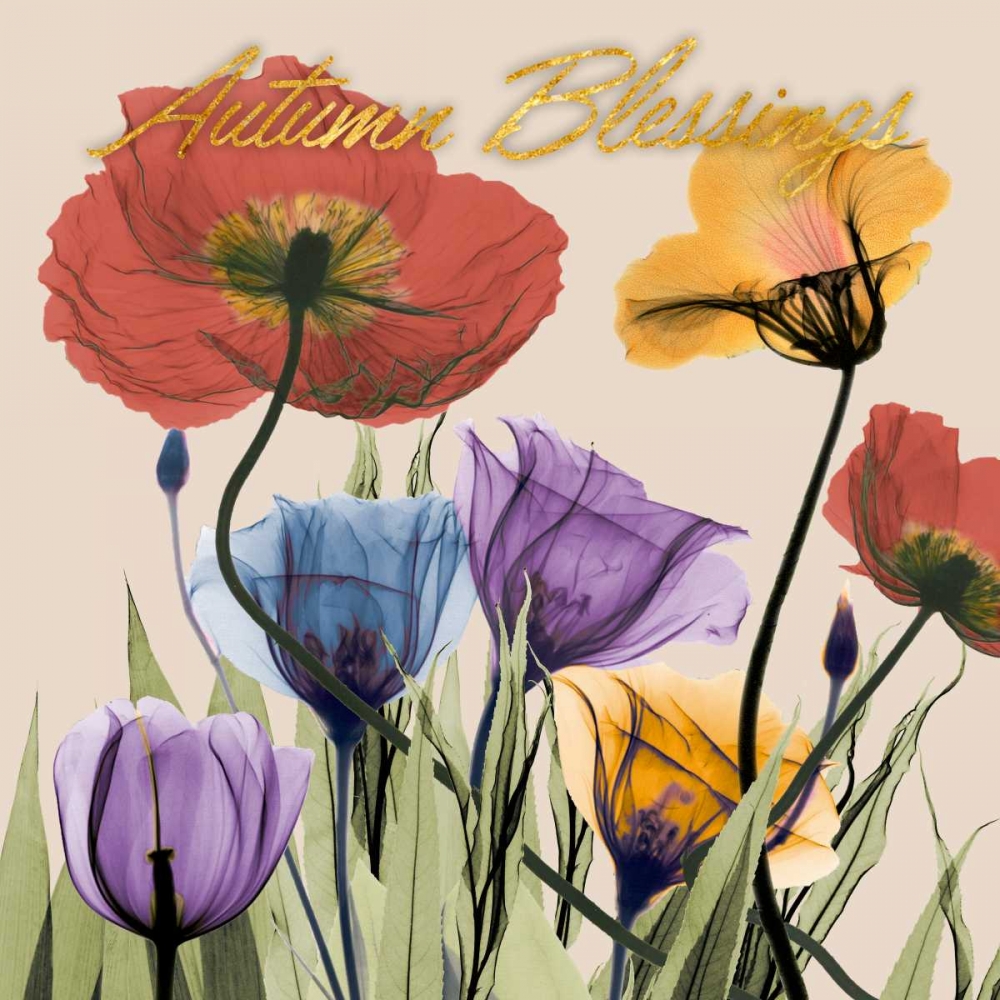 Flowerscape Blessings art print by Albert Koetsier for $57.95 CAD