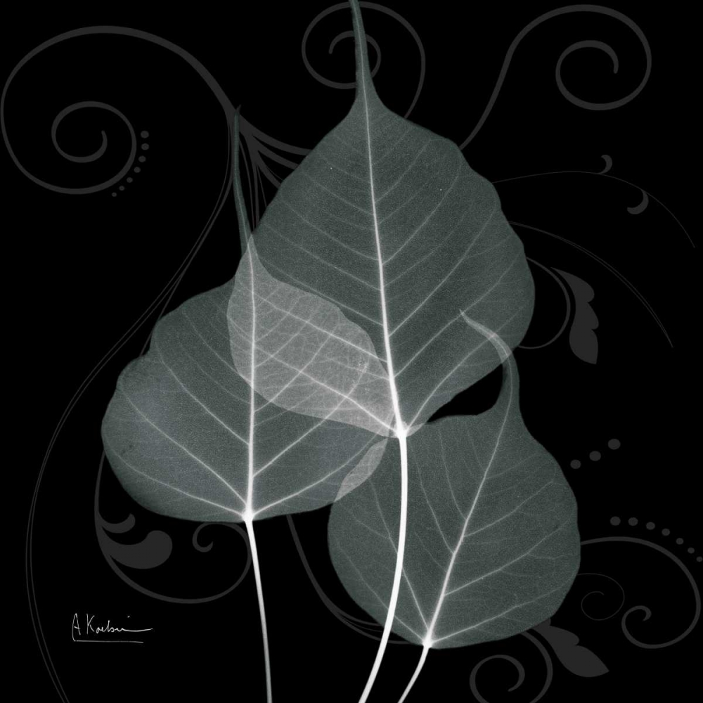 Mint Bo Tree art print by Albert Koetsier for $57.95 CAD