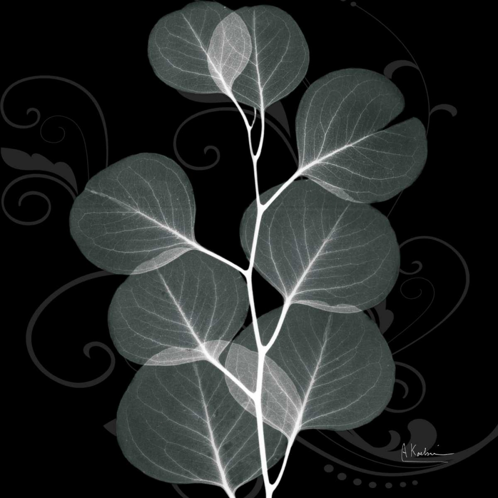 Mint Eucalyptus art print by Albert Koetsier for $57.95 CAD