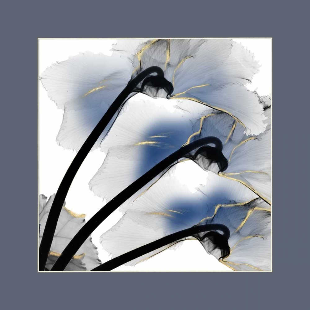 Indigo Luster Cyclamen Border art print by Albert Koetsier for $57.95 CAD