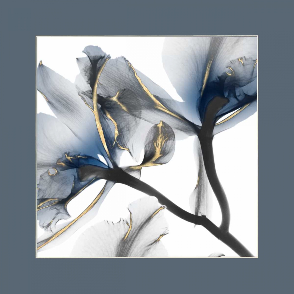 Indigo Luster Cyclamen Border 2 art print by Albert Koetsier for $57.95 CAD
