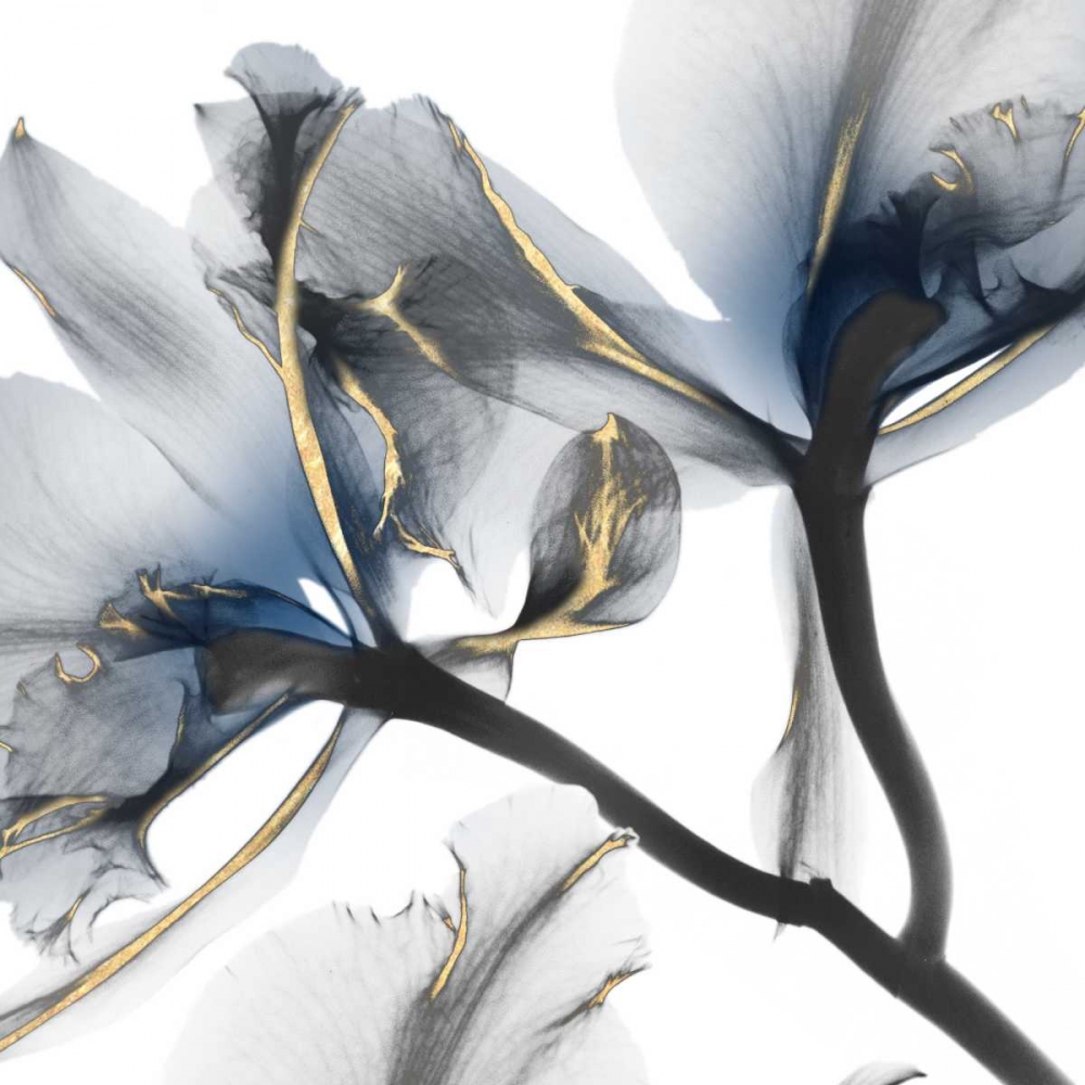 Indigo Luster Cyclamen 2 art print by Albert Koetsier for $57.95 CAD