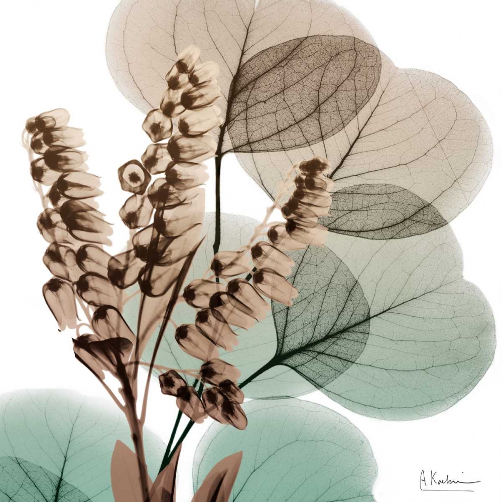 Oasis Eucalyptus 1 art print by Albert Koetsier for $57.95 CAD
