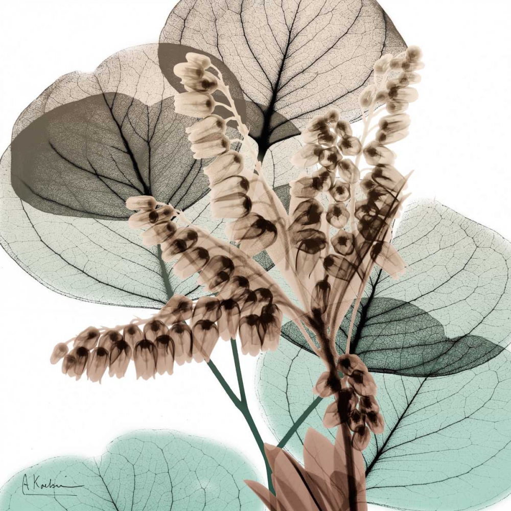 Oasis Eucalyptus 2 art print by Albert Koetsier for $57.95 CAD