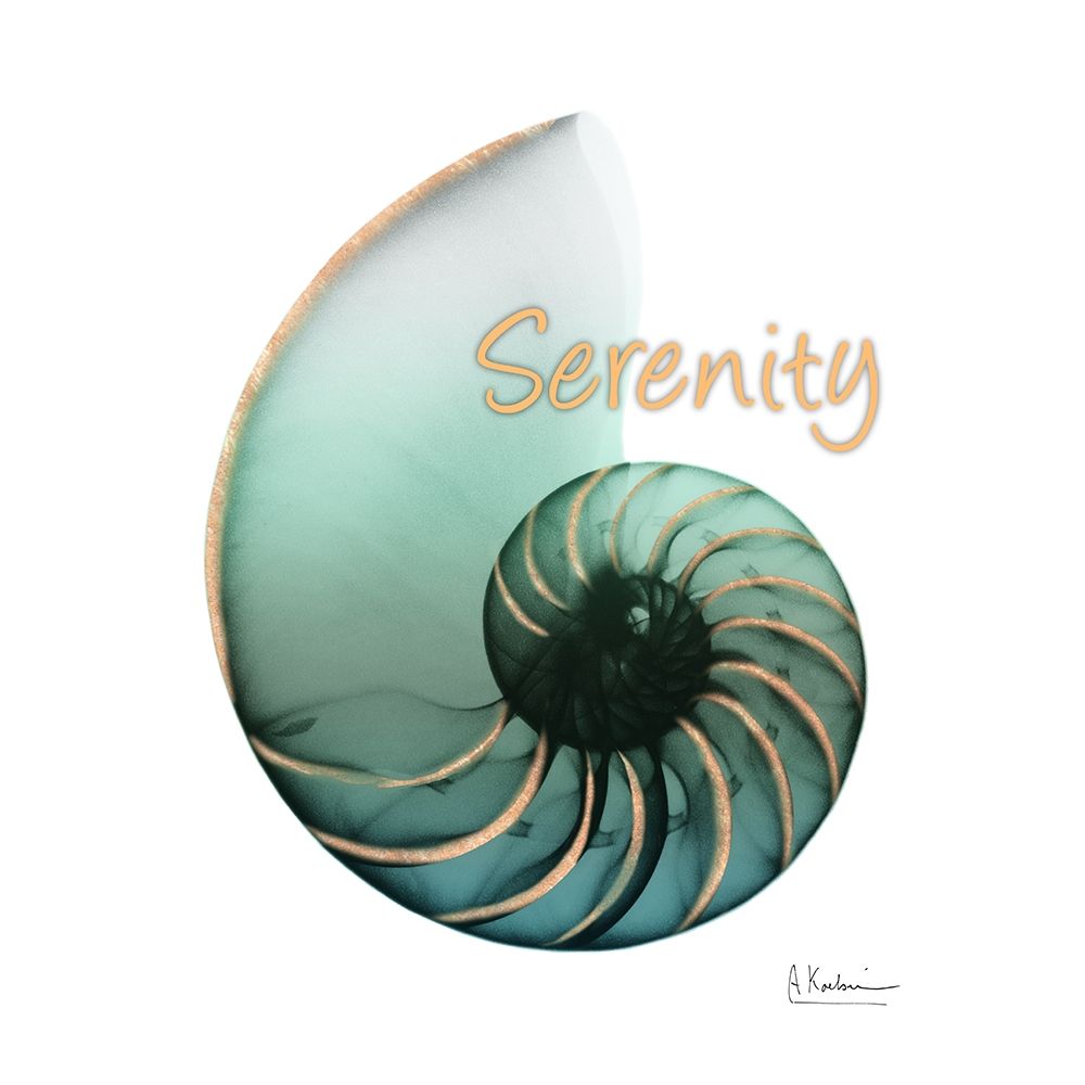 Shinny Serenity Snail 1 art print by Albert Koetsier for $57.95 CAD