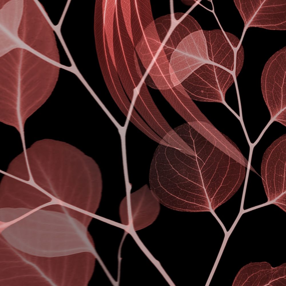 Coral Infused Eucalyptus 1 art print by Albert Koetsier for $57.95 CAD