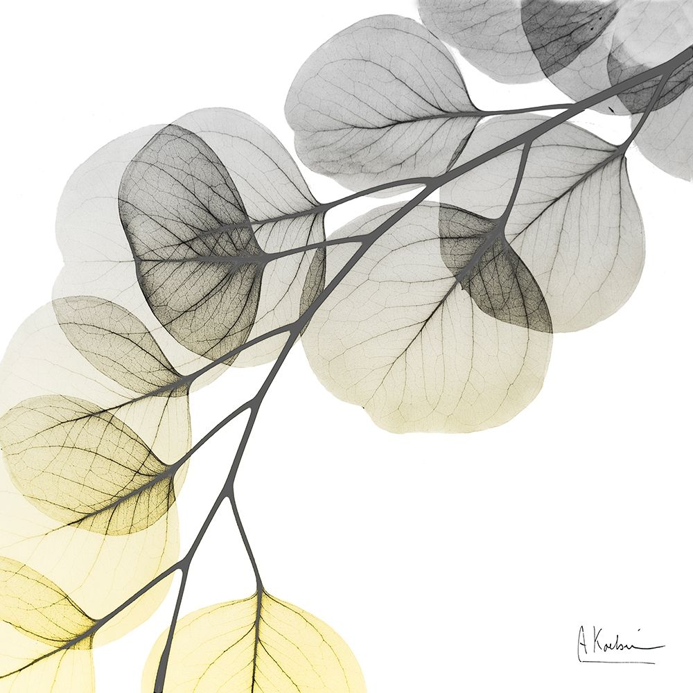 Brilliant Eucalyptus 1 art print by Albert Koetsier for $57.95 CAD