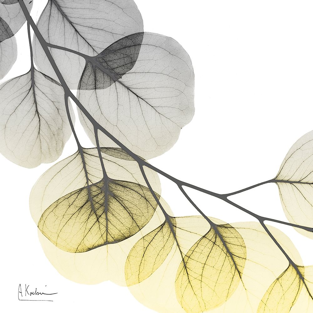 Brilliant Eucalyptus 2 art print by Albert Koetsier for $57.95 CAD