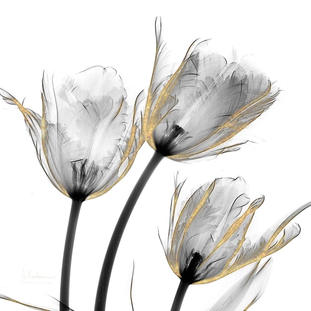 Gold Embellished Tulips 2 art print by Albert Koetsier for $57.95 CAD