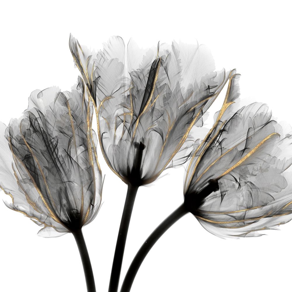 Gold Embellished Tulips 3 art print by Albert Koetsier for $57.95 CAD