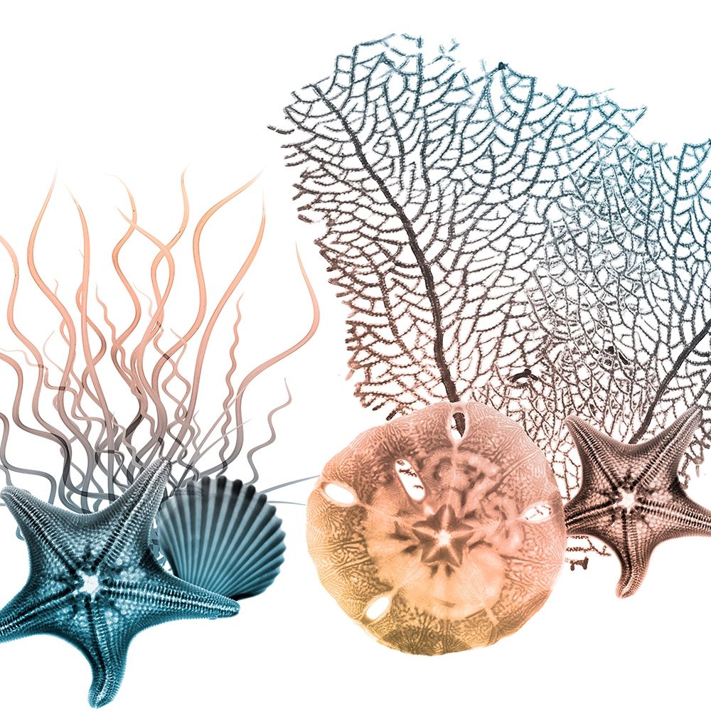 Ocean Bundles 3 art print by Albert Koetsier for $57.95 CAD