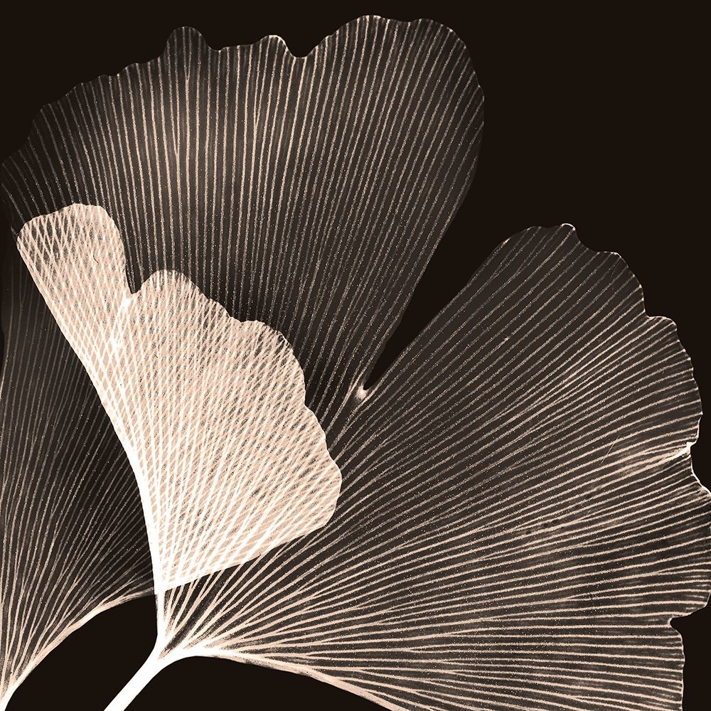 Cocoa Ginko art print by Albert Koetsier for $57.95 CAD
