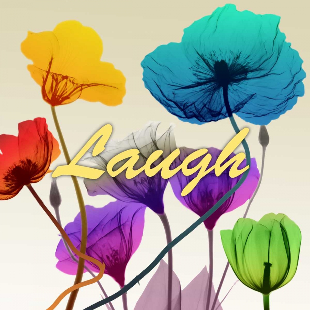 Floral Calm Pop Laugh art print by Albert Koetsier for $57.95 CAD