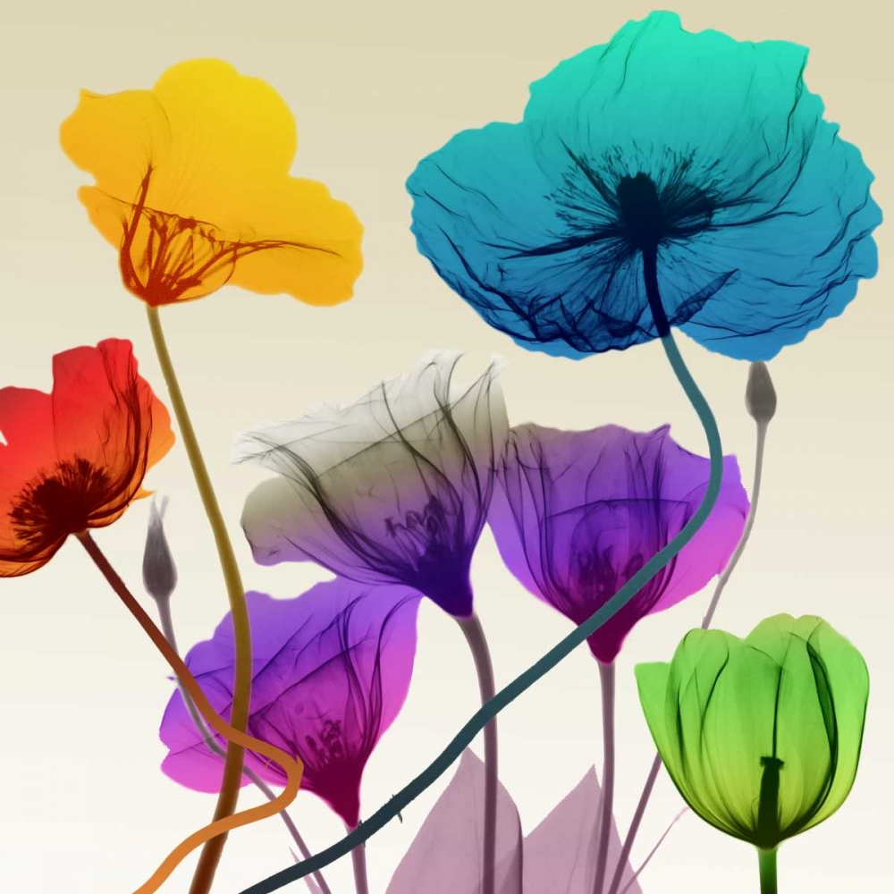 Floral Calm Pop art print by Albert Koetsier for $57.95 CAD