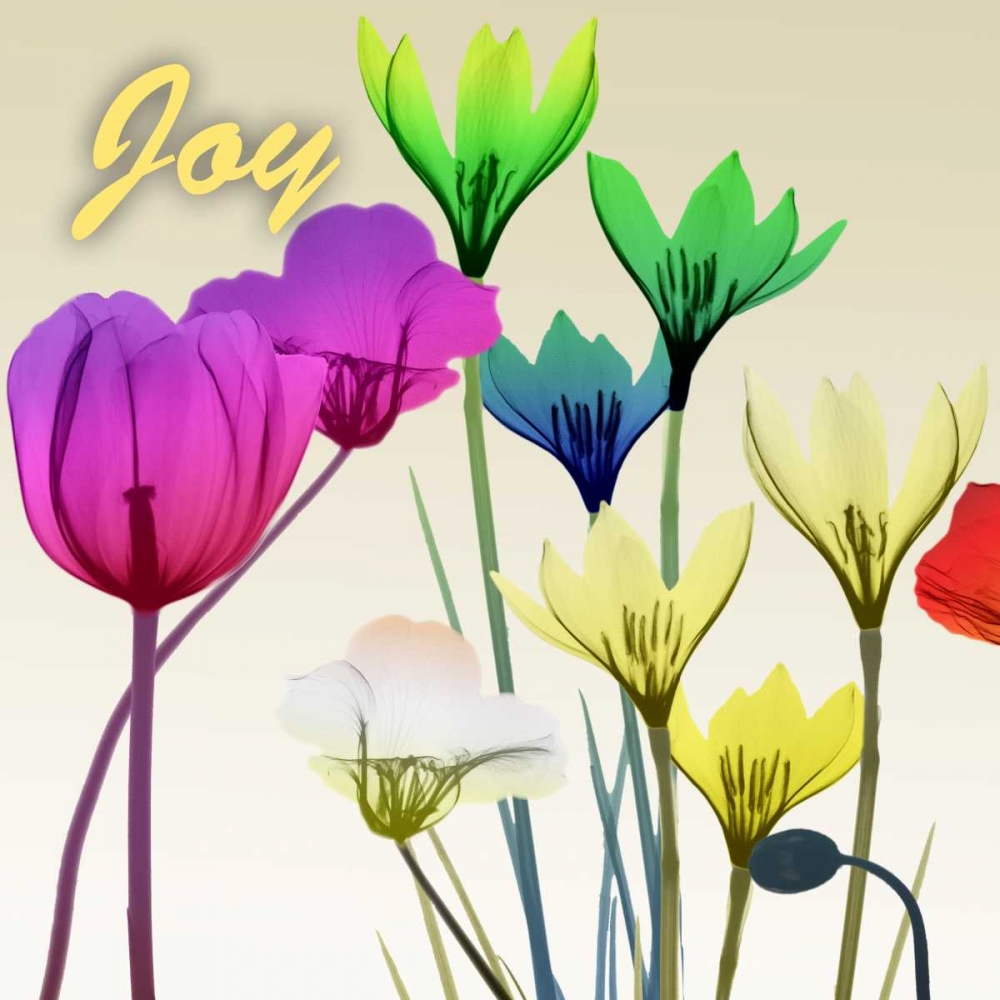 Floral Calm Pop Joy art print by Albert Koetsier for $57.95 CAD