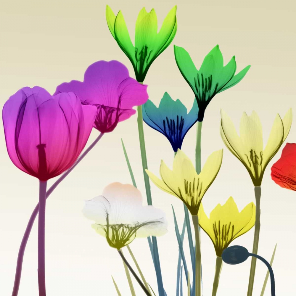 Floral Calm Pop Mate art print by Albert Koetsier for $57.95 CAD