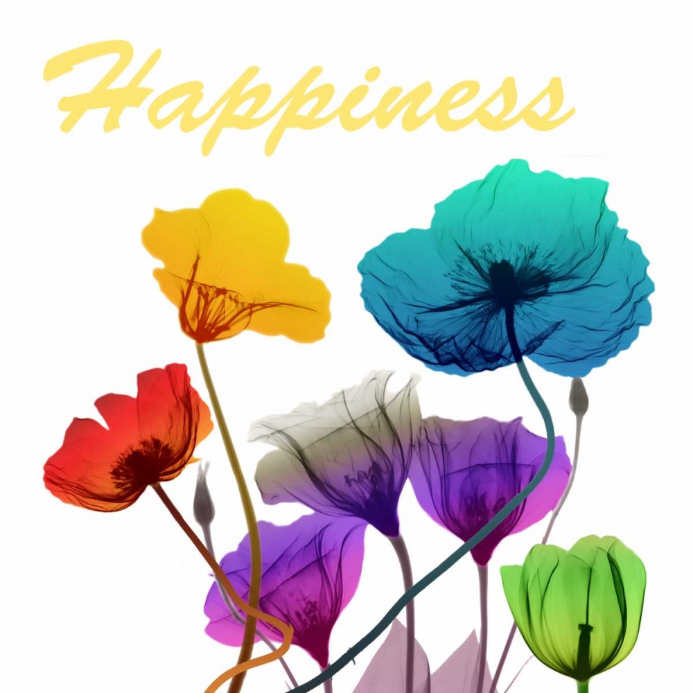 Floral Pop Happines art print by Albert Koetsier for $57.95 CAD