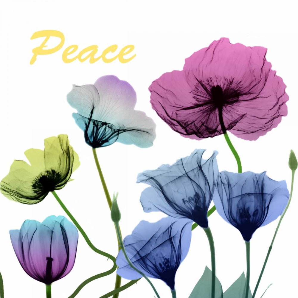 Floral Rainbow Peace art print by Albert Koetsier for $57.95 CAD