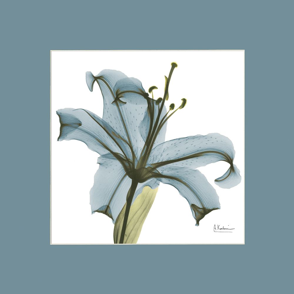Tiger Blue Mat art print by Albert Koetsier for $57.95 CAD
