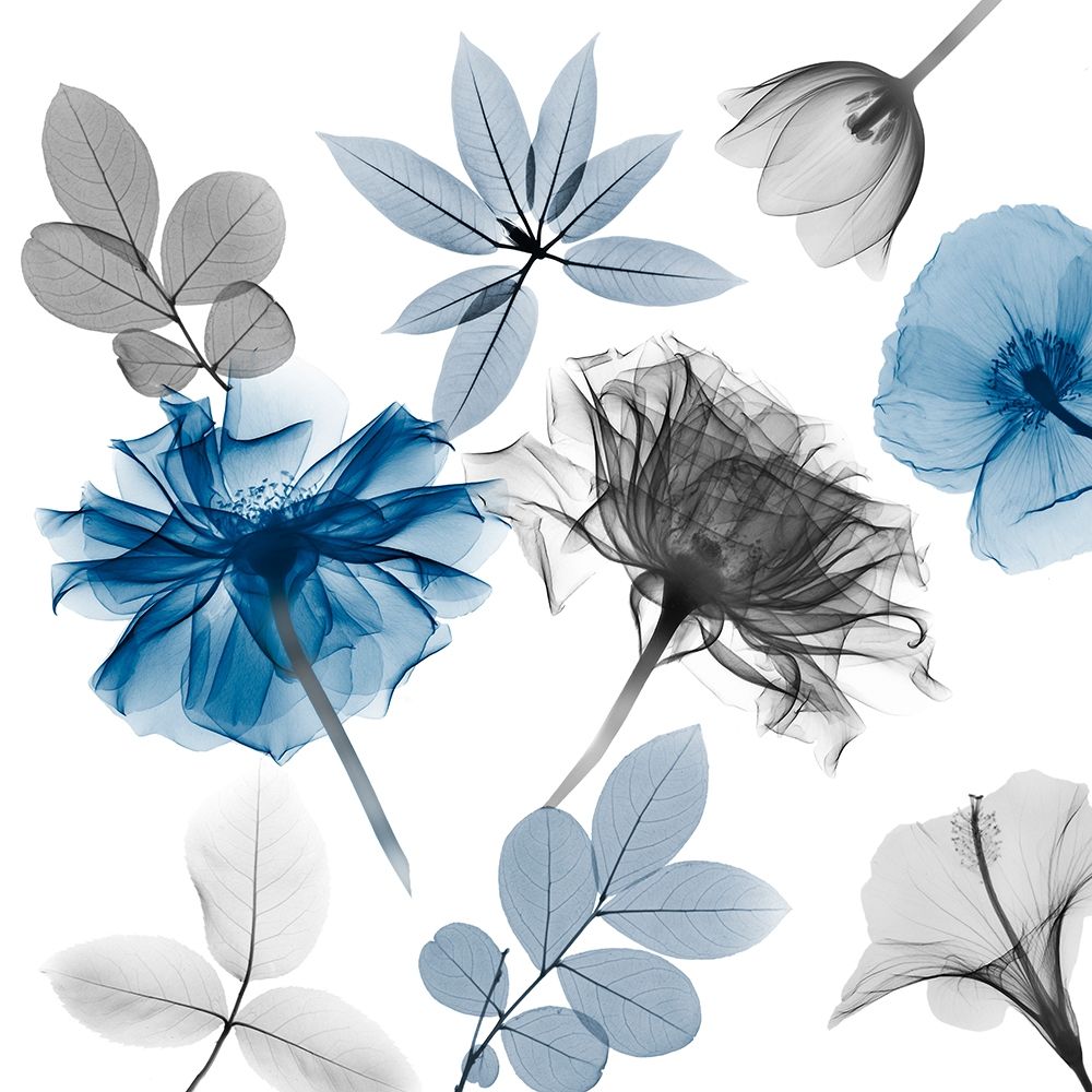 Floral Collage 3 art print by Albert Koetsier for $57.95 CAD