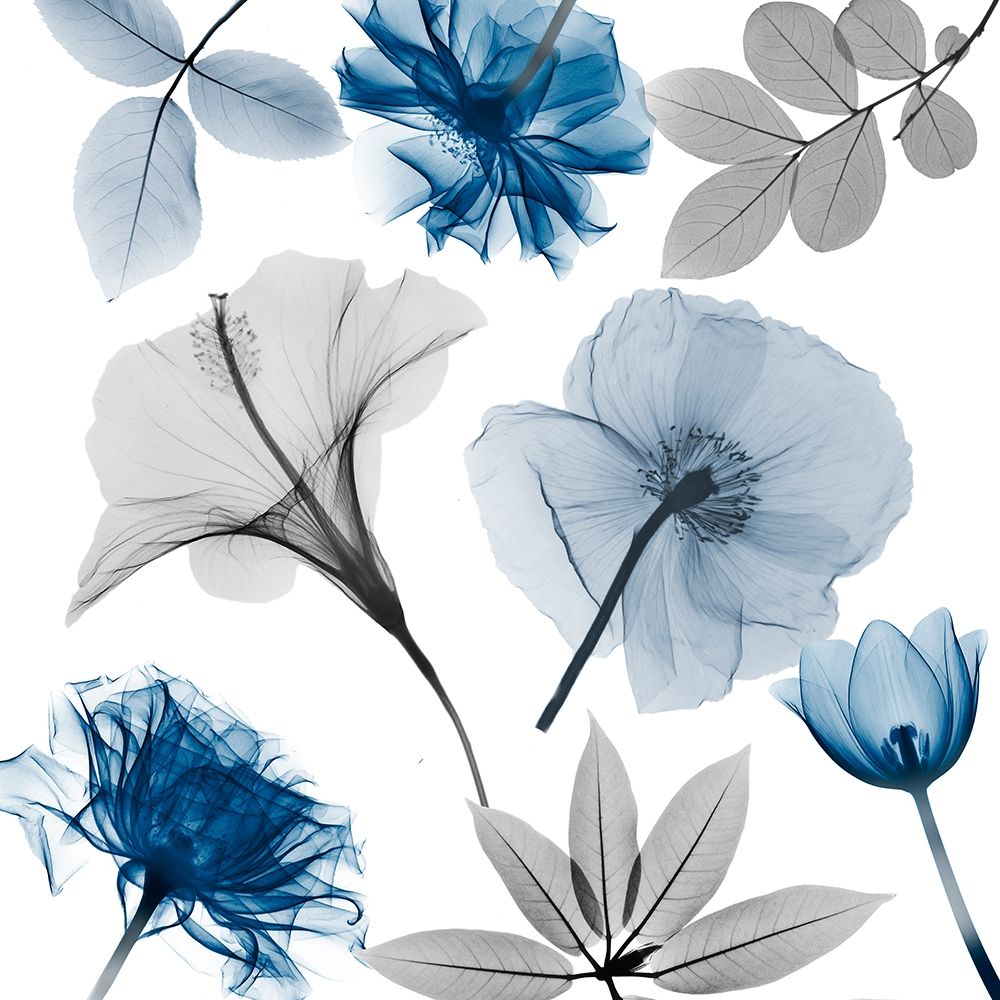 Floral Collage 4 art print by Albert Koetsier for $57.95 CAD