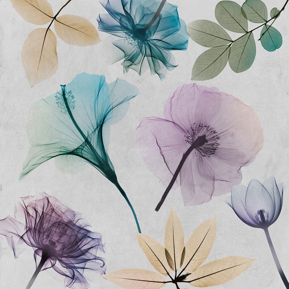 Floral Collage 2 art print by Albert Koetsier for $57.95 CAD