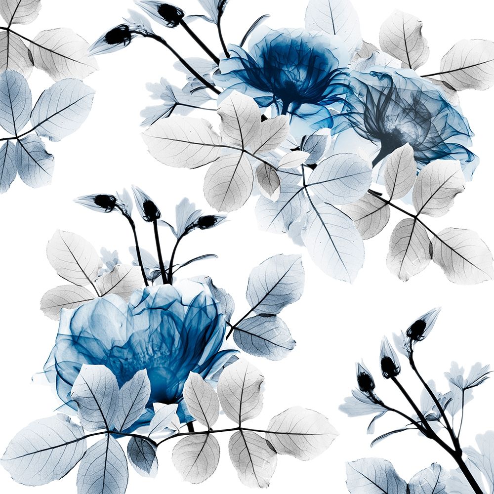 Indigo Bouquets 2 art print by Albert Koetsier for $57.95 CAD