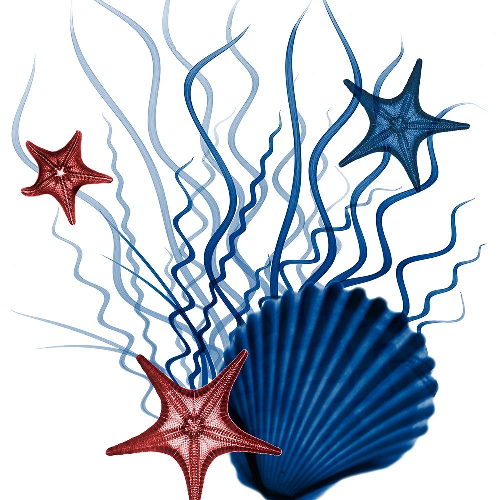 Nautical Resurgence 1 art print by Albert Koetsier for $57.95 CAD
