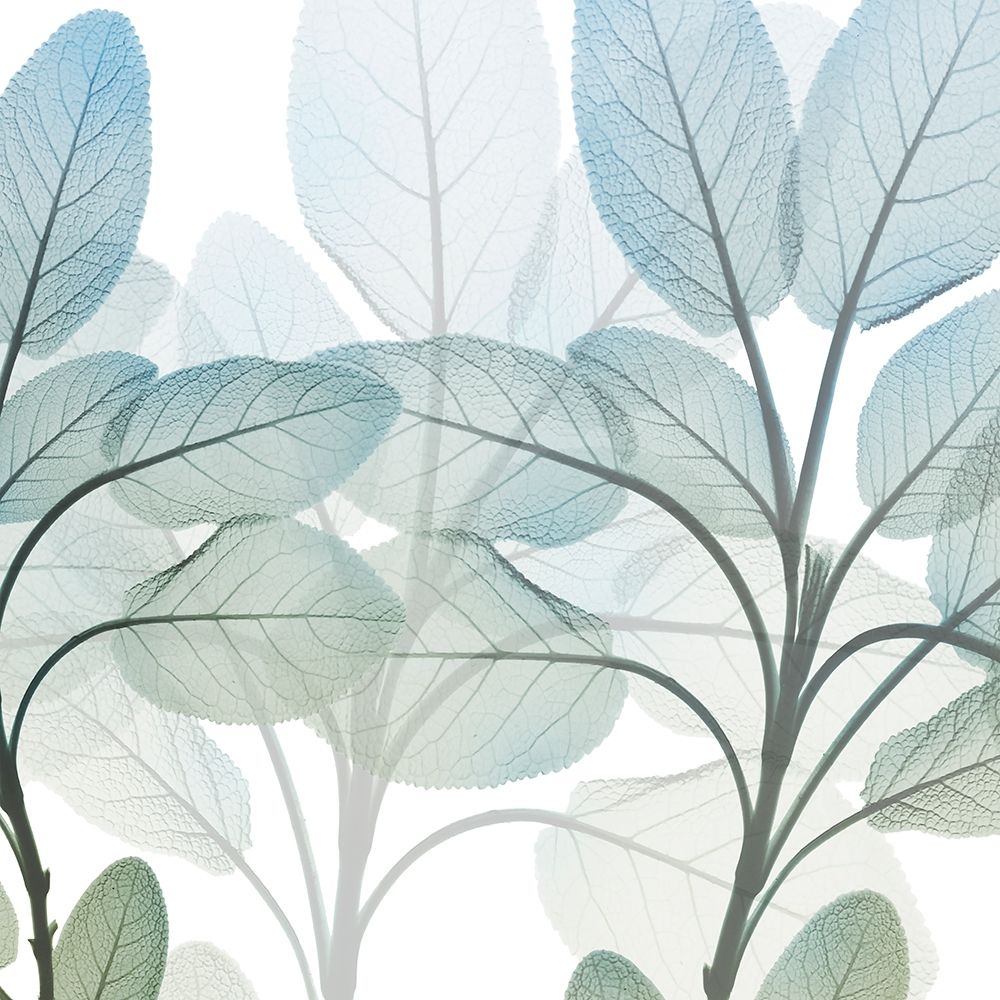 Resilient Growth 1 art print by Albert Koetsier for $57.95 CAD