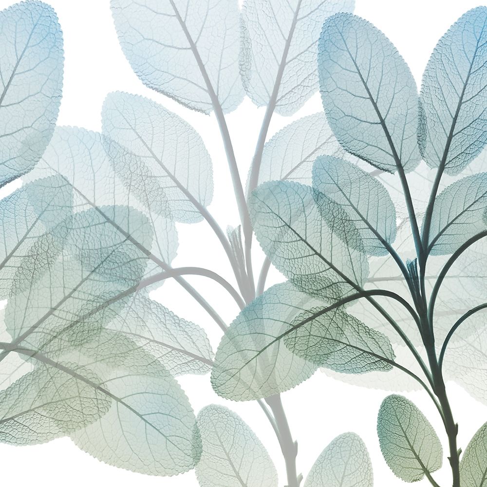 Resilient Growth 2 art print by Albert Koetsier for $57.95 CAD