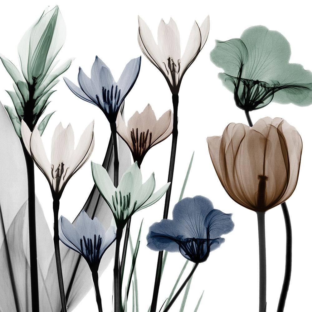 Neutral Grouping 2 art print by Albert Koetsier for $57.95 CAD