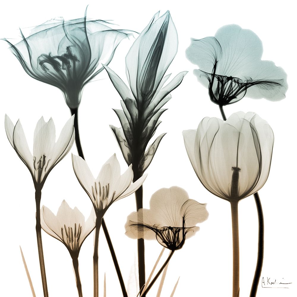 Sandy Floral Cluster 1 art print by Albert Koetsier for $57.95 CAD