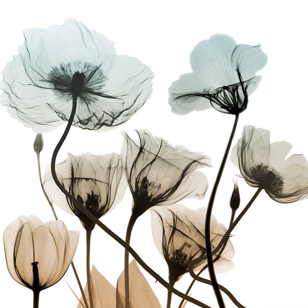 Sandy Floral Cluster 2 art print by Albert Koetsier for $57.95 CAD