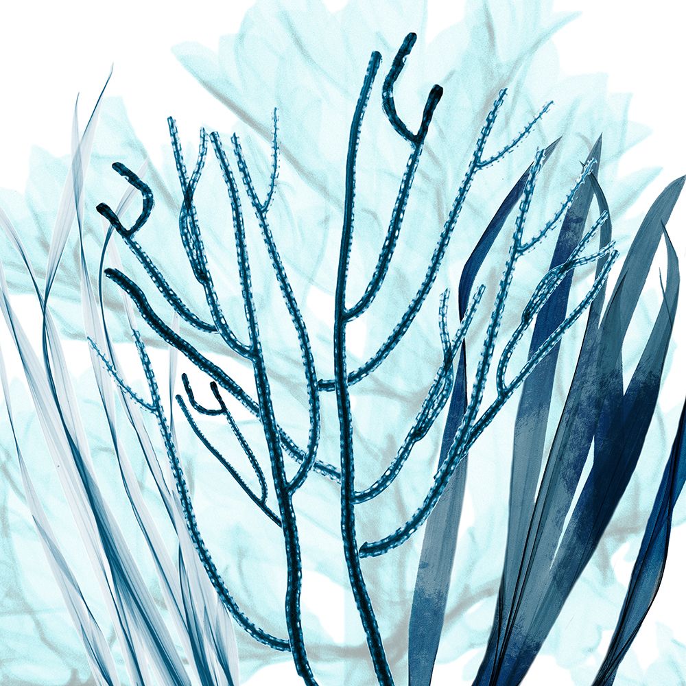 Ocean Floor Life 4 art print by Albert Koetsier for $57.95 CAD