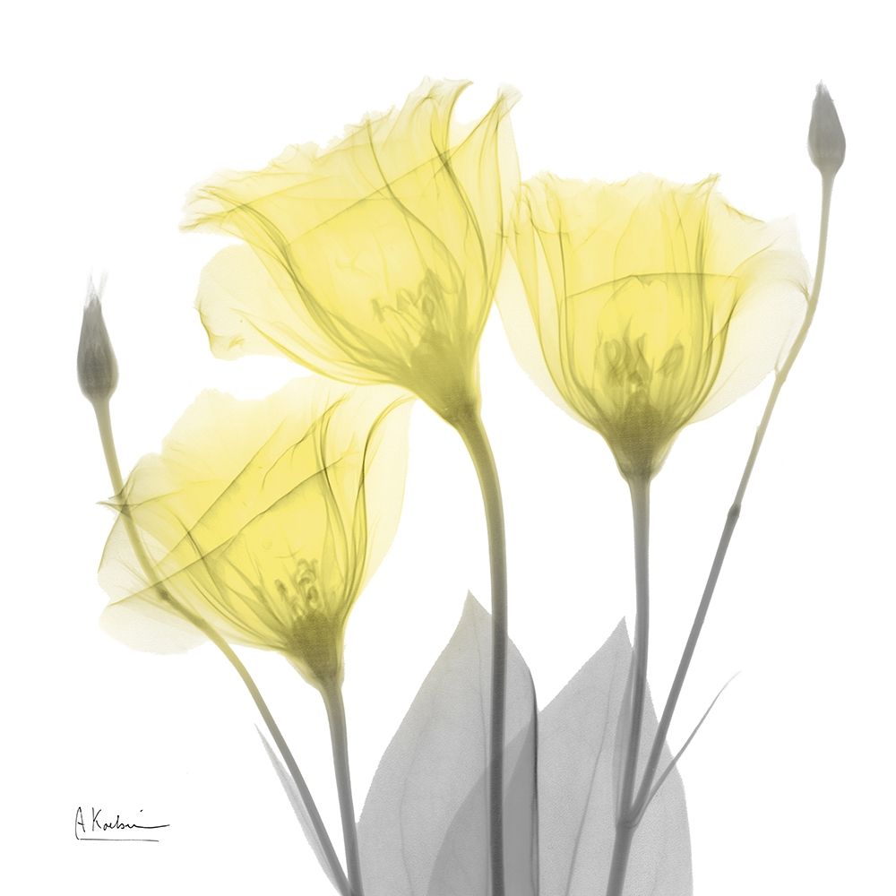 Brilliant Gentian Buddies 1 art print by Albert Koetsier for $57.95 CAD