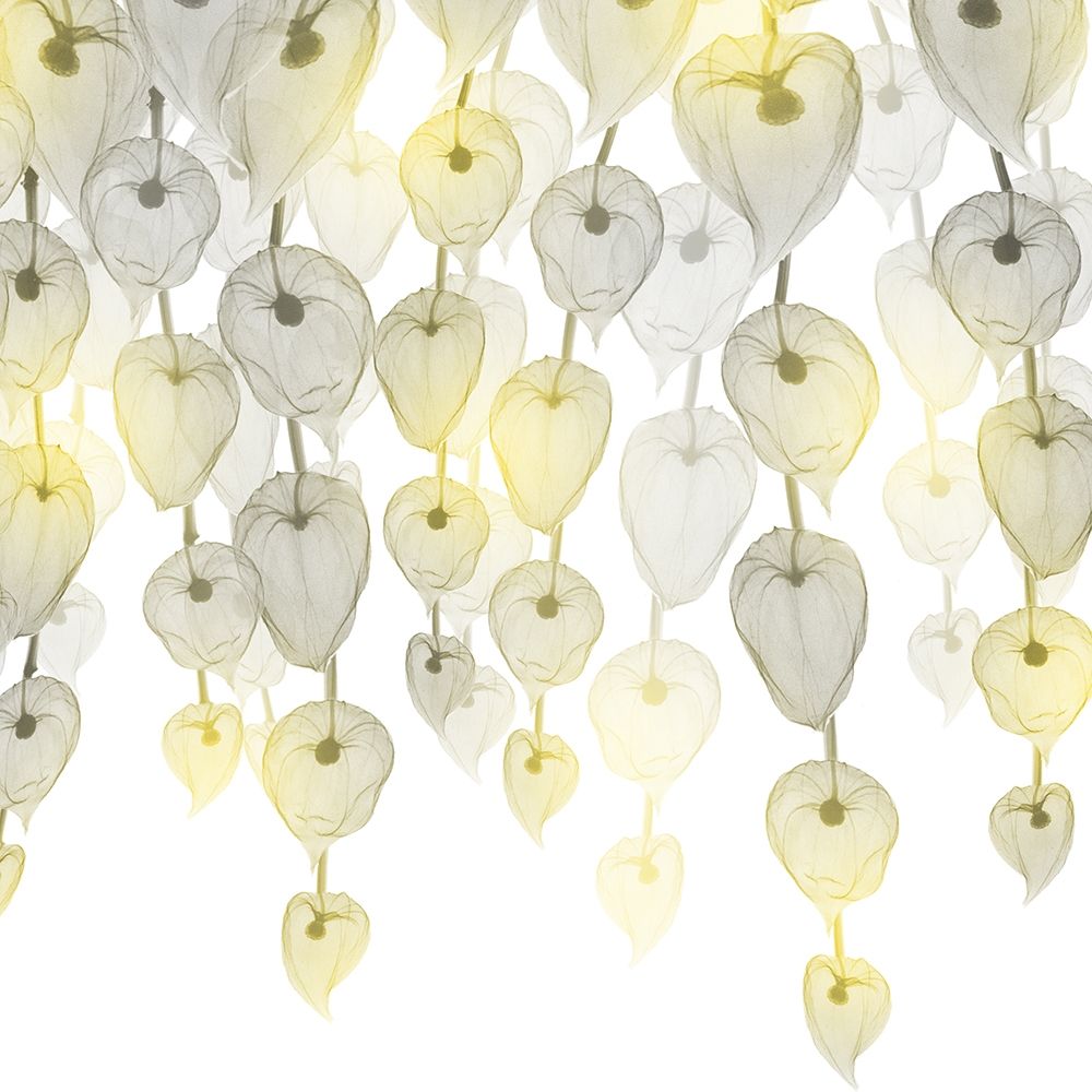 Lit Lantern Cascade 1 art print by Albert Koetsier for $57.95 CAD