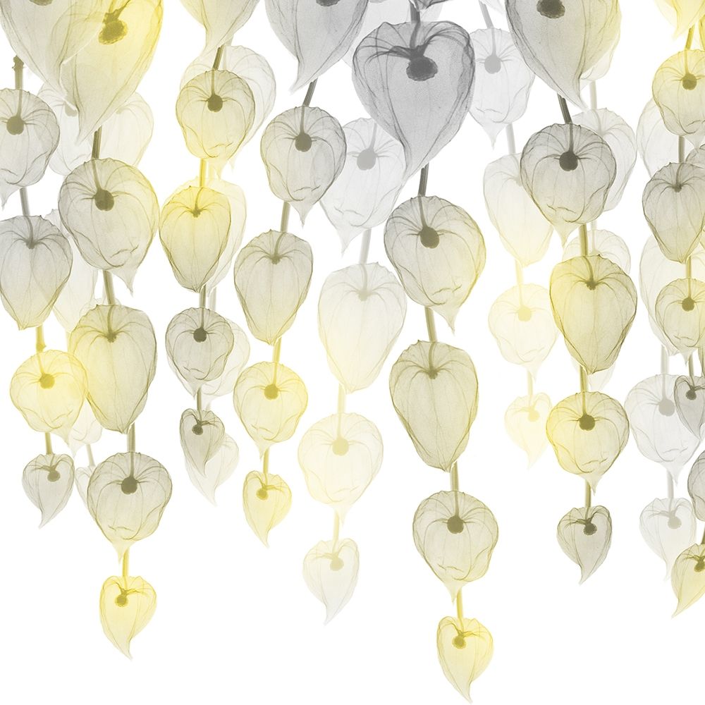 Lit Lantern Cascade 2 art print by Albert Koetsier for $57.95 CAD