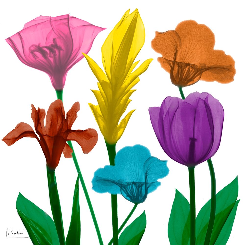 Jewel Floral Cluster 1 art print by Albert Koetsier for $57.95 CAD