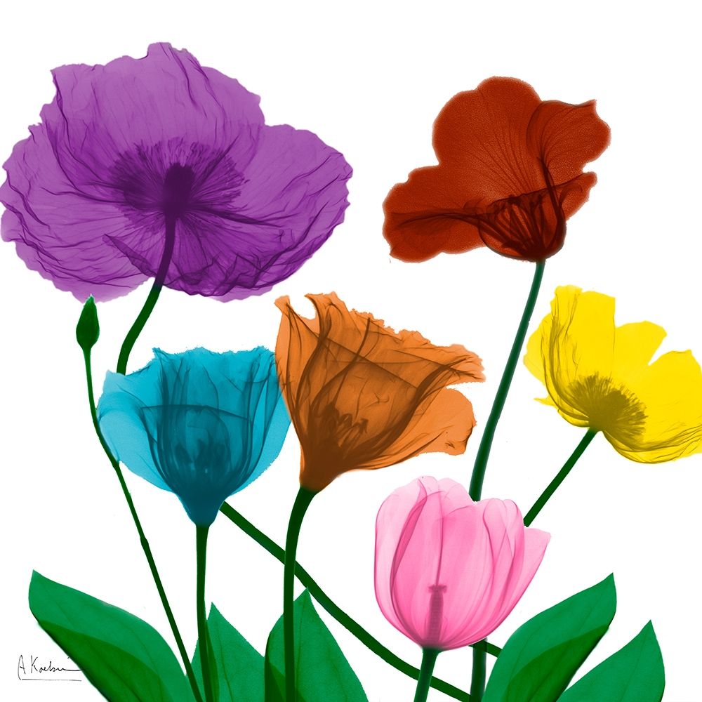 Jewel Floral Cluster 2 art print by Albert Koetsier for $57.95 CAD