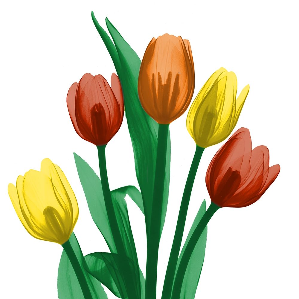 Jewel Embellished Tulips 1 art print by Albert Koetsier for $57.95 CAD