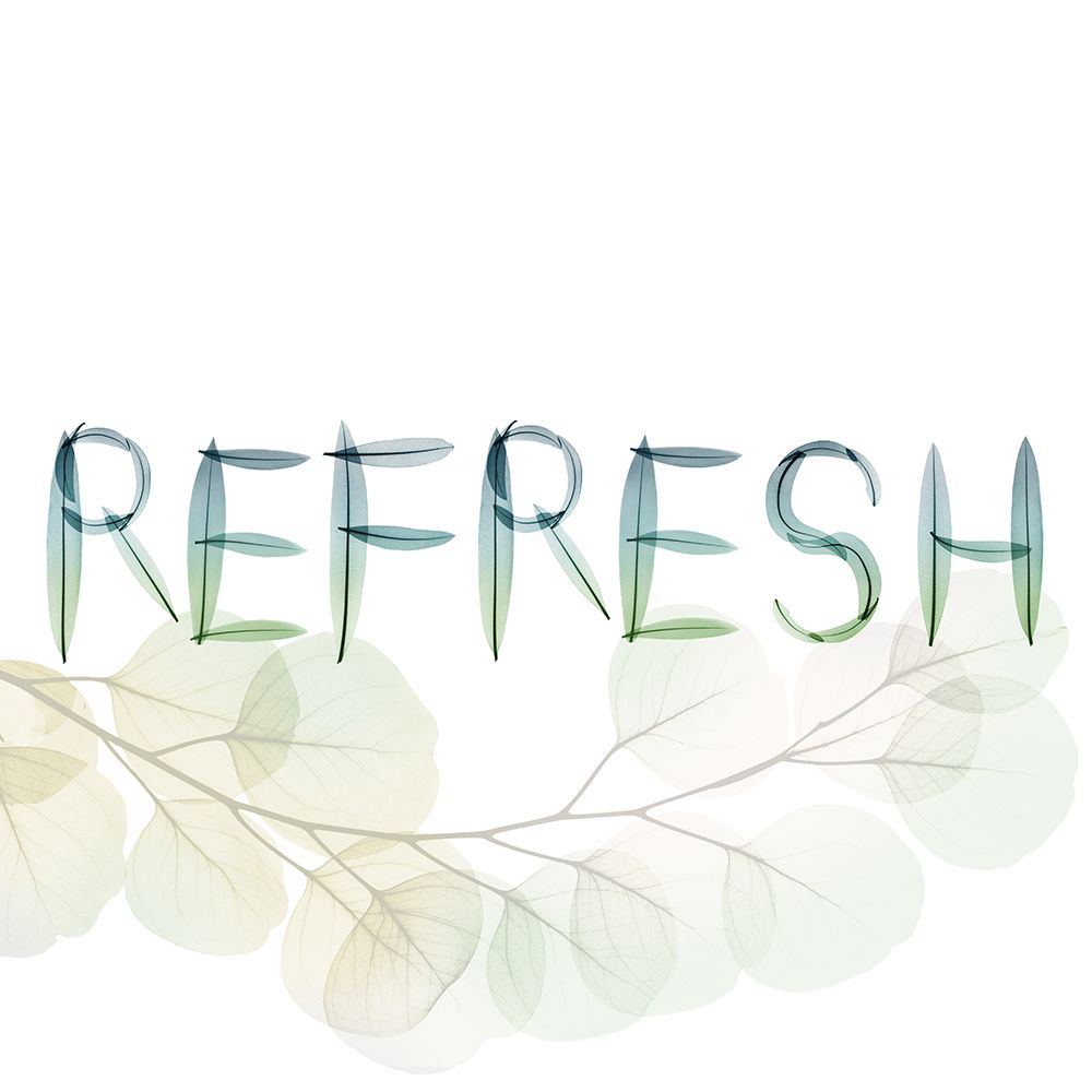 Refresh art print by Albert Koetsier for $57.95 CAD