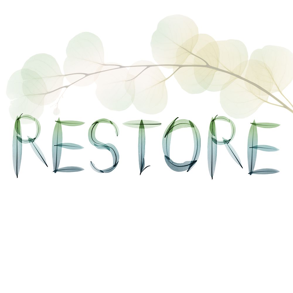 Restore art print by Albert Koetsier for $57.95 CAD