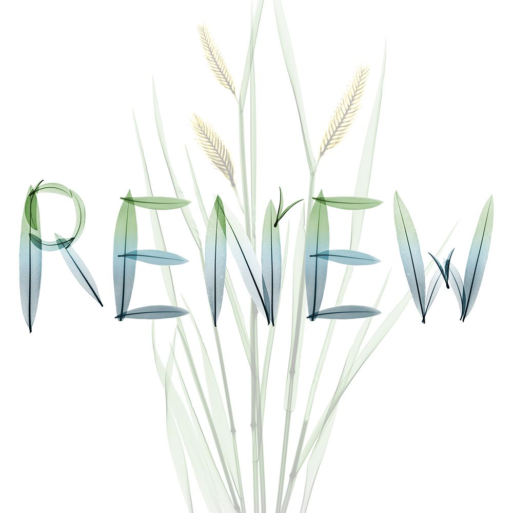 Renew art print by Albert Koetsier for $57.95 CAD