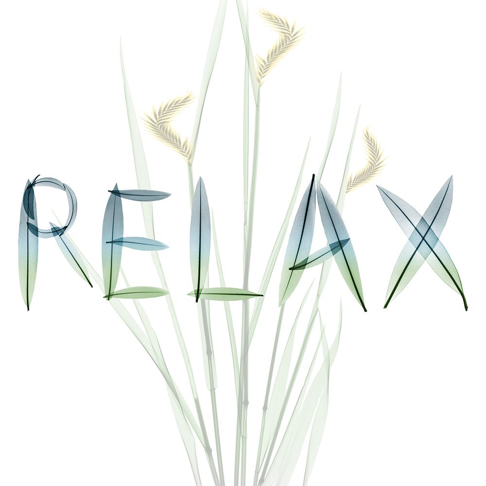 Relax art print by Albert Koetsier for $57.95 CAD