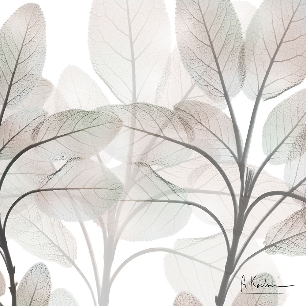 Mocha Growth 1 art print by Albert Koetsier for $57.95 CAD