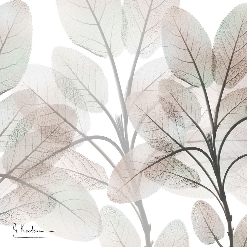 Mocha Growth 2 art print by Albert Koetsier for $57.95 CAD