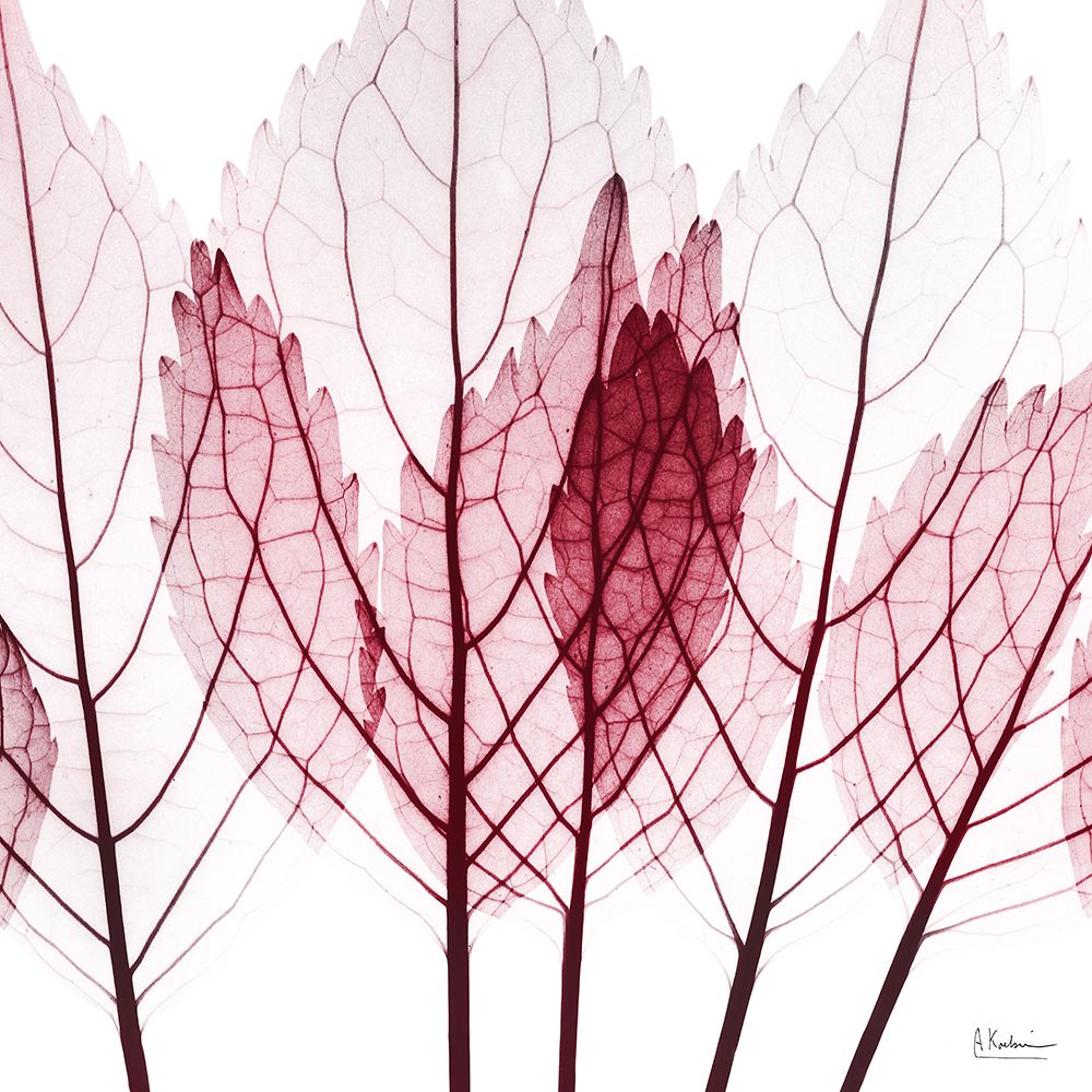 Brilliant Growth art print by Albert Koetsier for $57.95 CAD