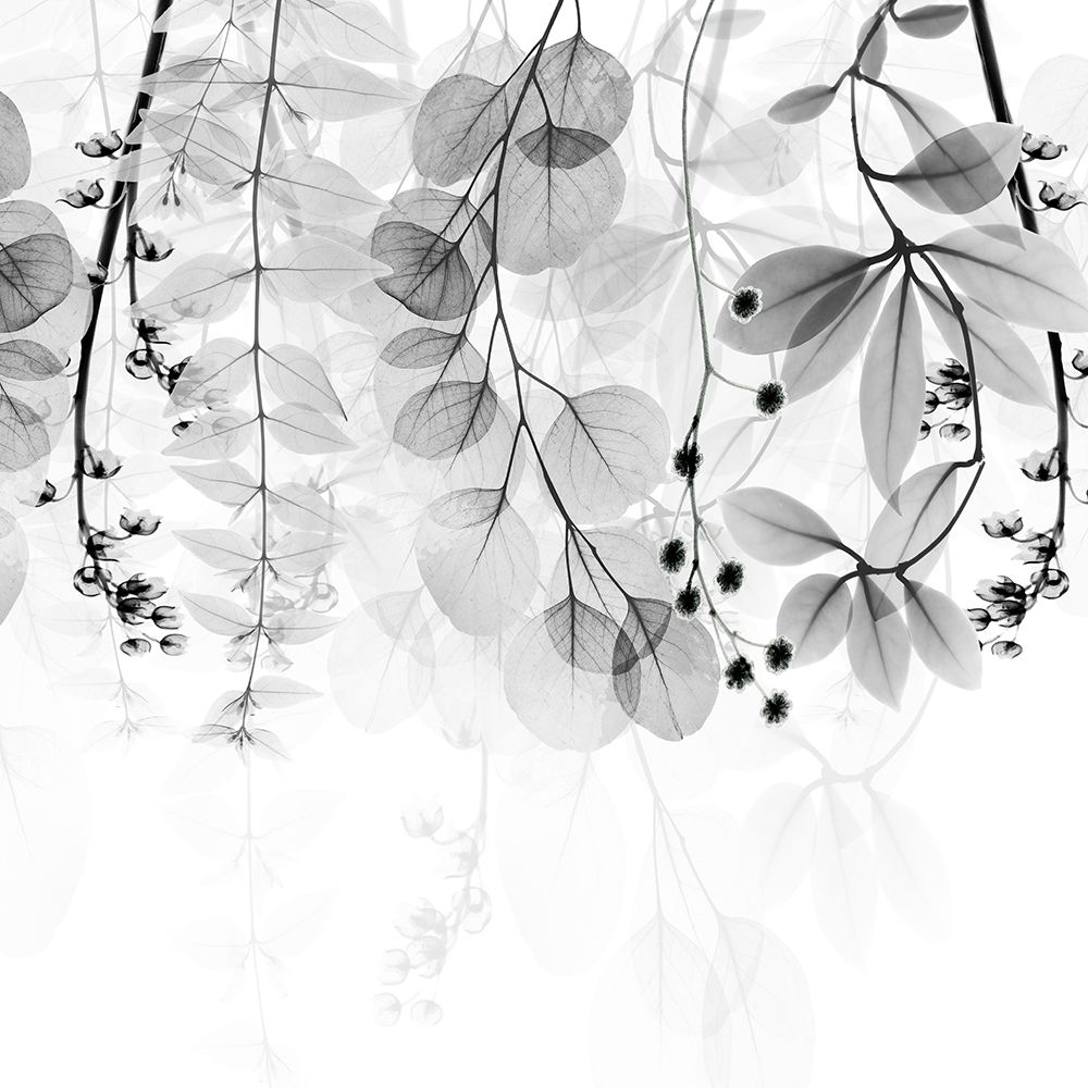 Pragmatic Meditation 1 art print by Albert Koetsier for $57.95 CAD