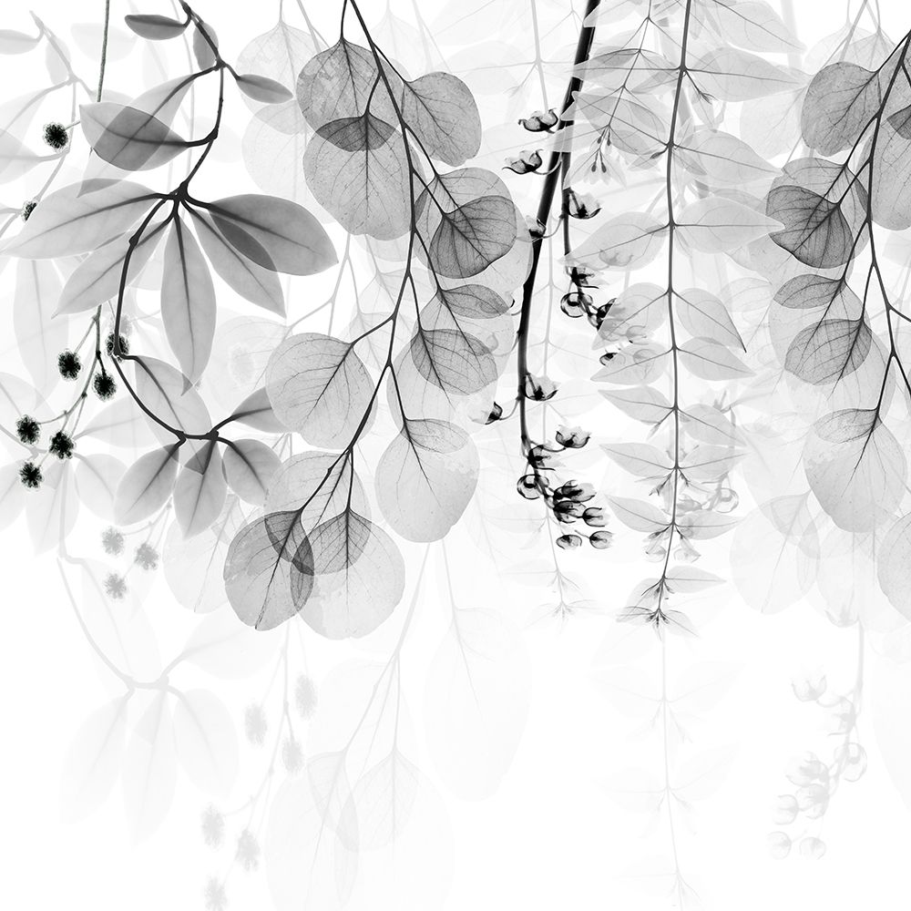 Pragmatic Meditation 2 art print by Albert Koetsier for $57.95 CAD